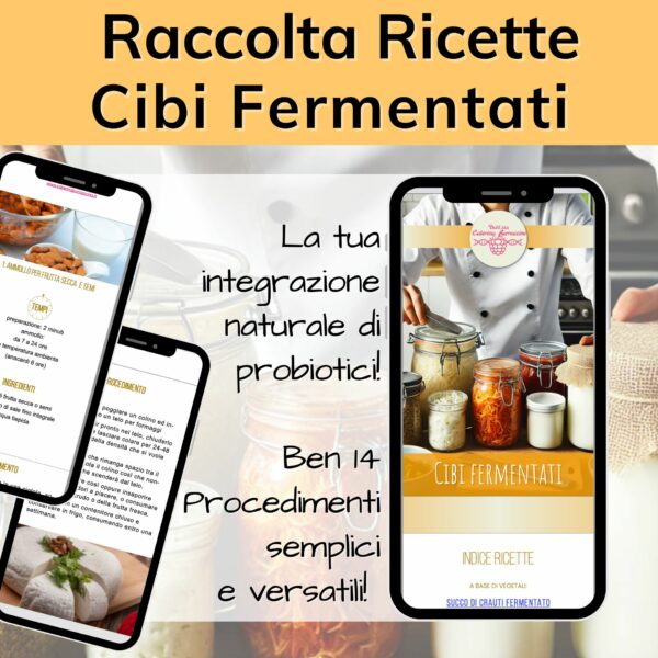 RACCOLTA RICETTE CIBI FERMENTATI